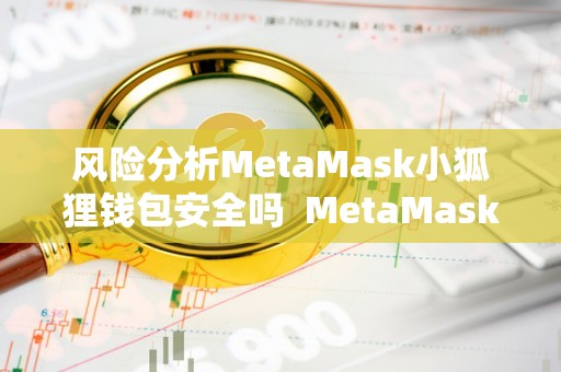 MetaMask 小狐狸钱包风险分析及安全措施