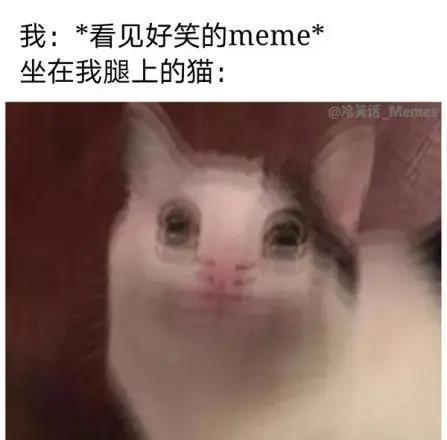 张晋的生活哲学与人生观_张晋的生活哲学与人生观_张晋的生活哲学与人生观